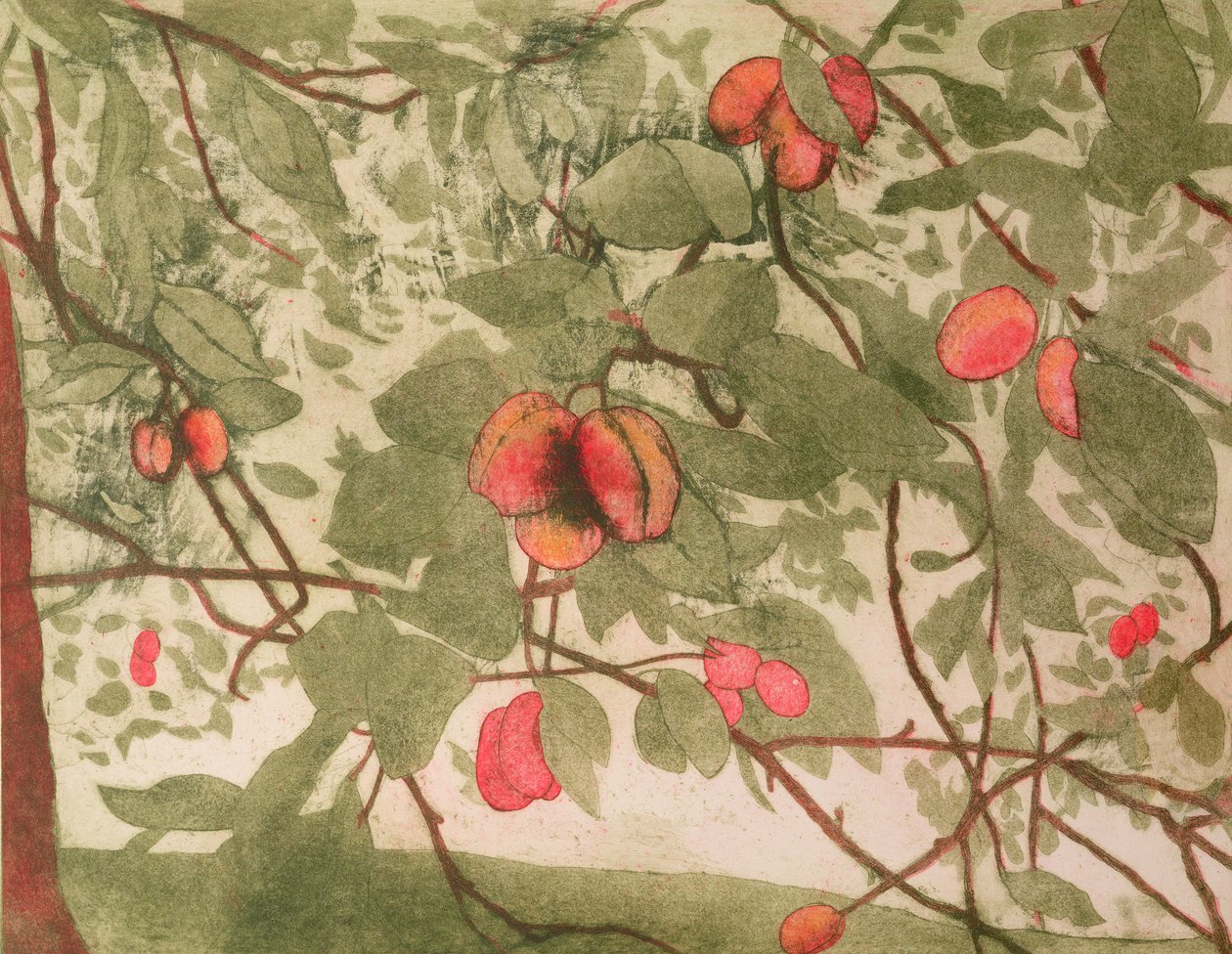 Pflaumen von Valerie Daniel