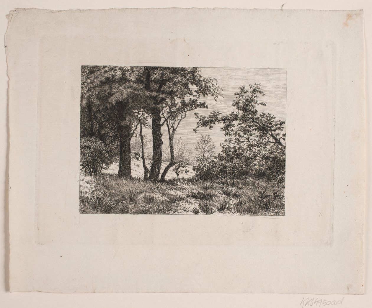 Eichen am Waldrand von Vilhelm Kyhn