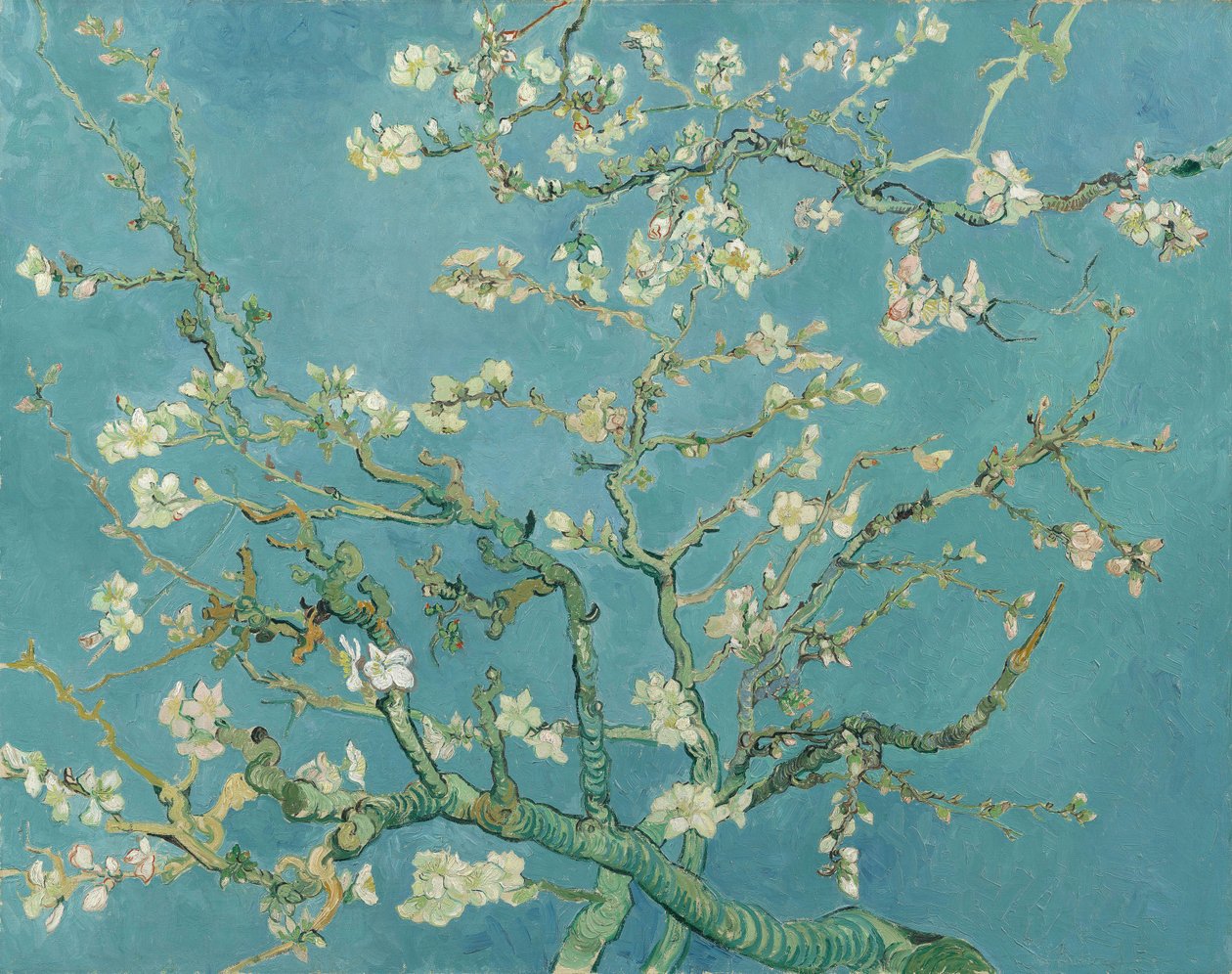 Mandelblüte von Vincent van Gogh