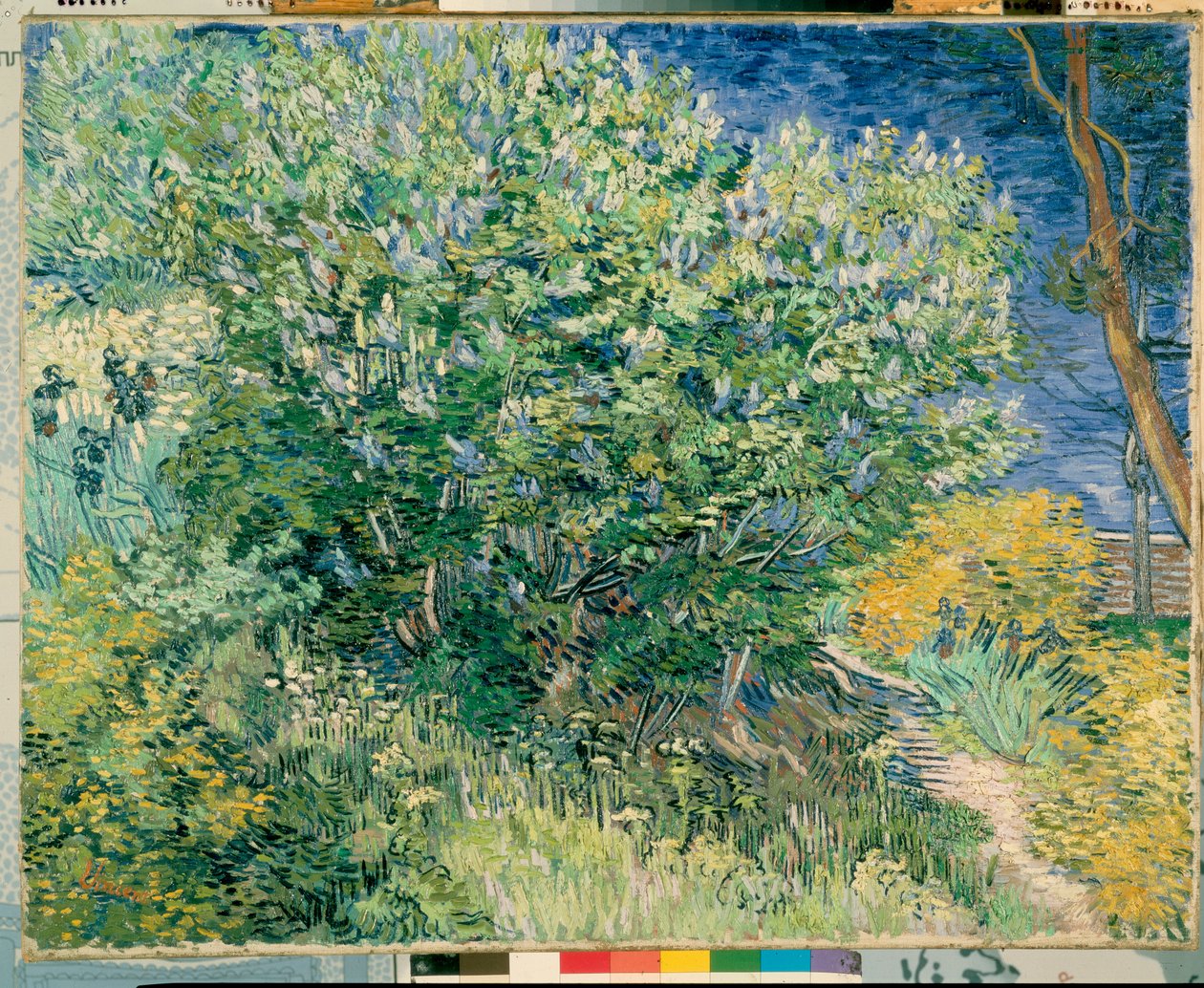 Fliederbusch von Vincent van Gogh