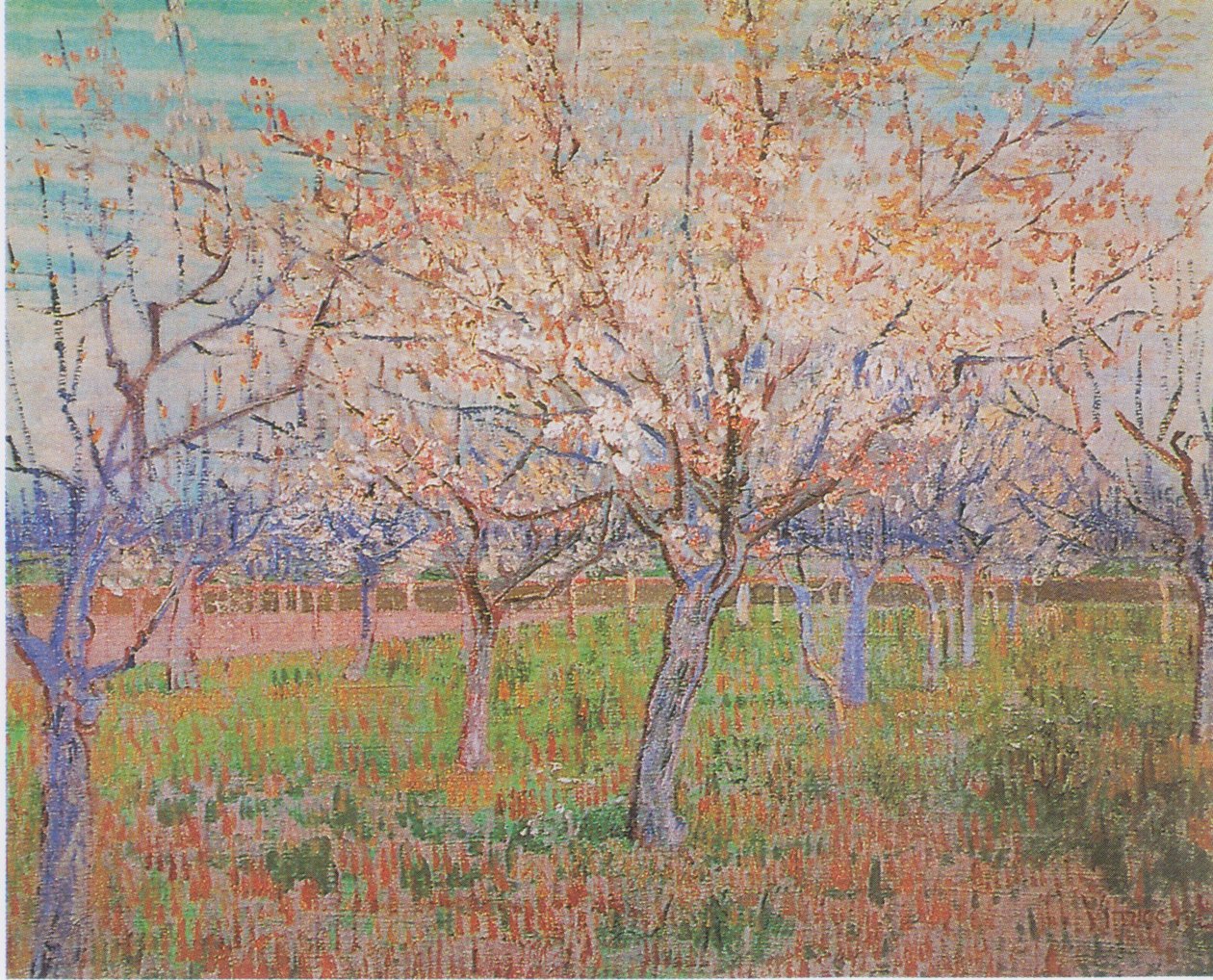 Obstgarten mit blühenden Aprikosenbäumen von Vincent van Gogh