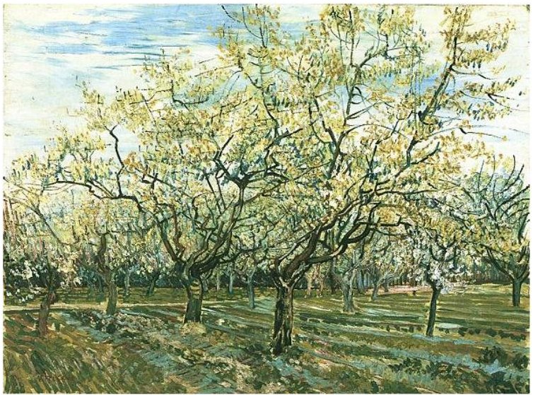 Obstgarten mit blühenden Pflaumenbäumen von Vincent van Gogh