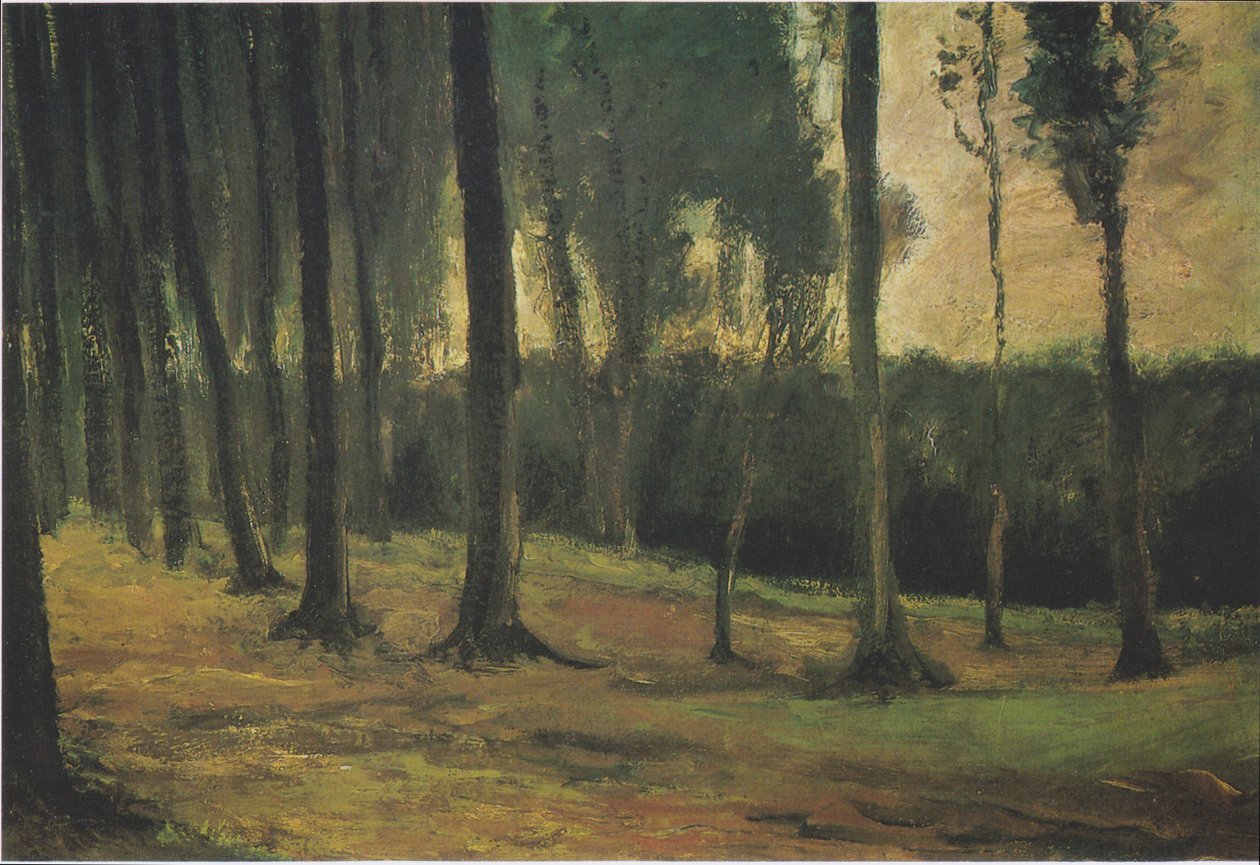 Waldrand von Vincent van Gogh