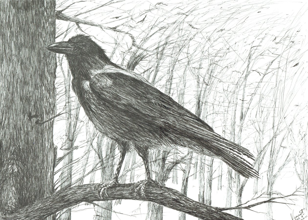 Vogel, 2011 von Vincent Alexander Booth
