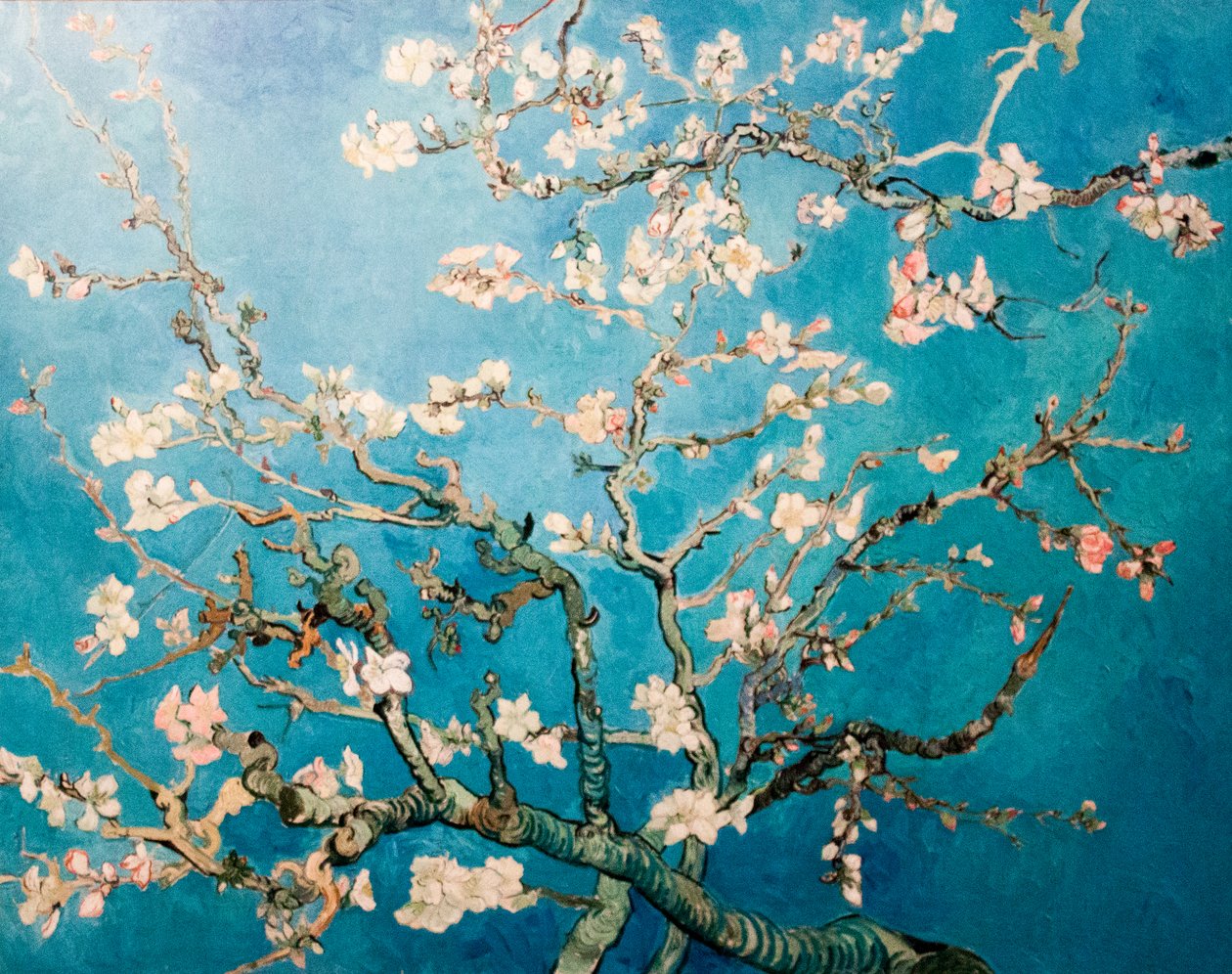 Amandelblüte von Vincent van Gogh