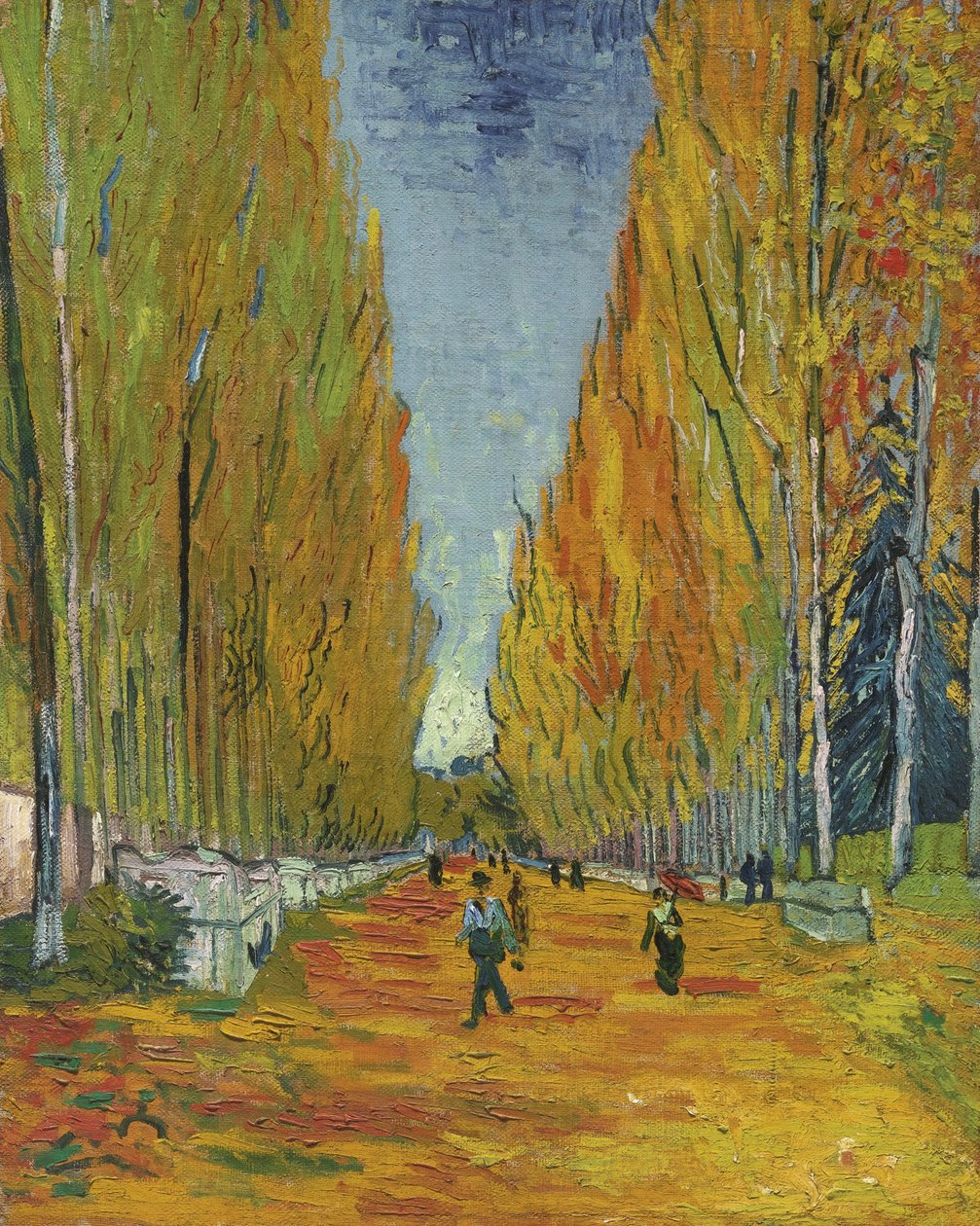 Die Allee der Alyscamps, 1888 von Vincent van Gogh