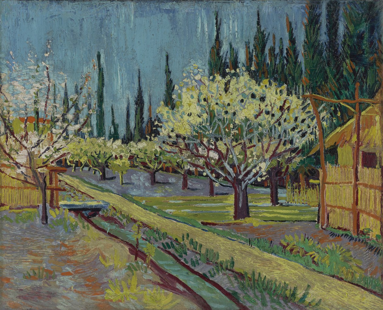 Obstgarten, gesäumt von Zypressen von Vincent van Gogh
