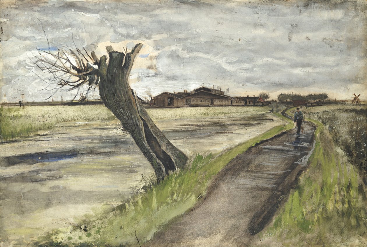 Kopfweide, 1882 von Vincent van Gogh
