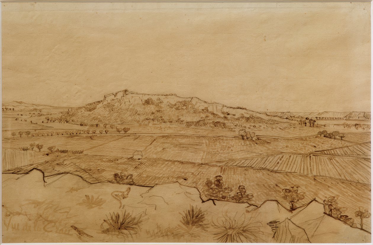Blick auf die Crau von Vincent van Gogh
