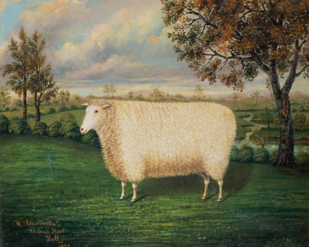 Ein Preisschaf der alten Lincoln-Rasse von W. Adamson
