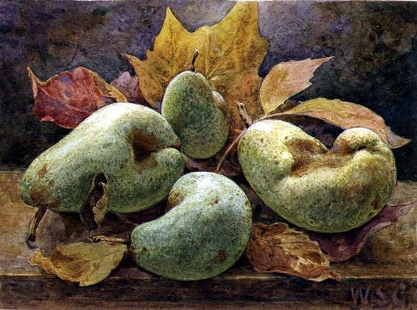 Ungerade und gerade (Birnen) von W.S. Goodwin