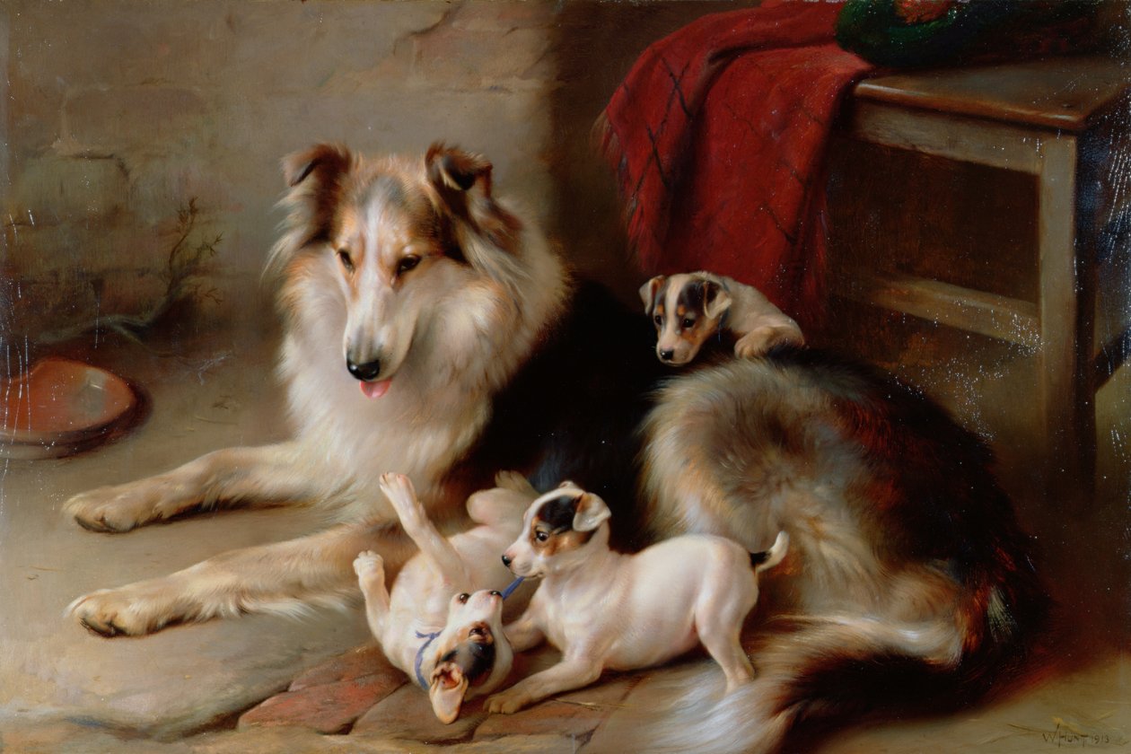 Ein Collie mit Foxterrier-Welpen von Walter Hunt