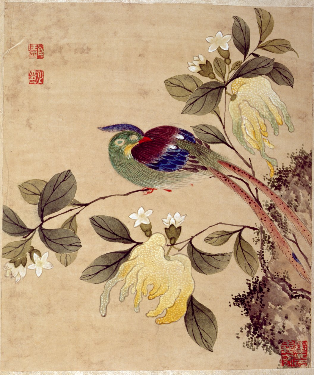 Eine Serie von Gemälden von Vögeln und Früchten, spätes 19. Jahrhundert von Wang Guochen