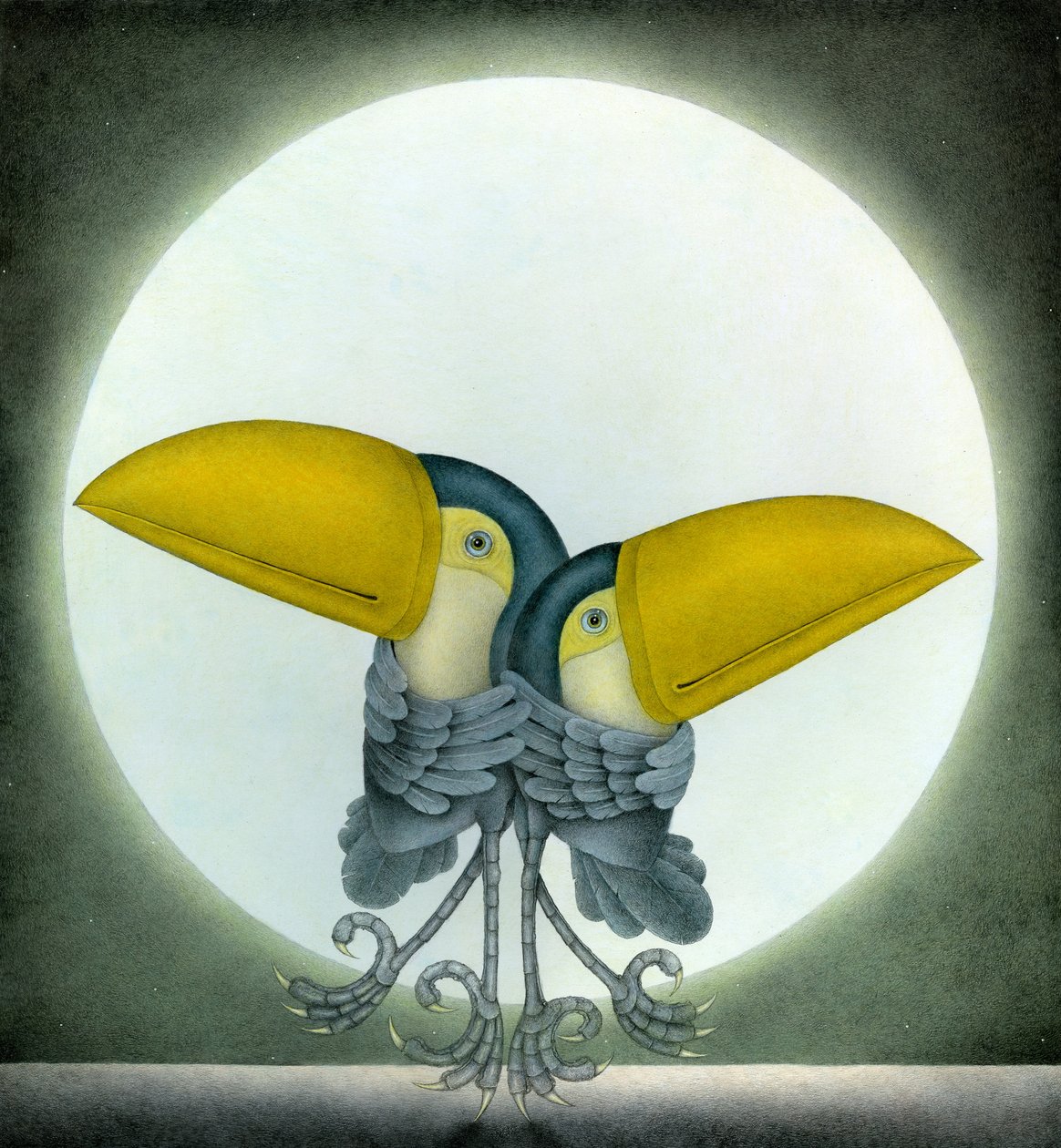 Toucan Can Can von Wayne Anderson