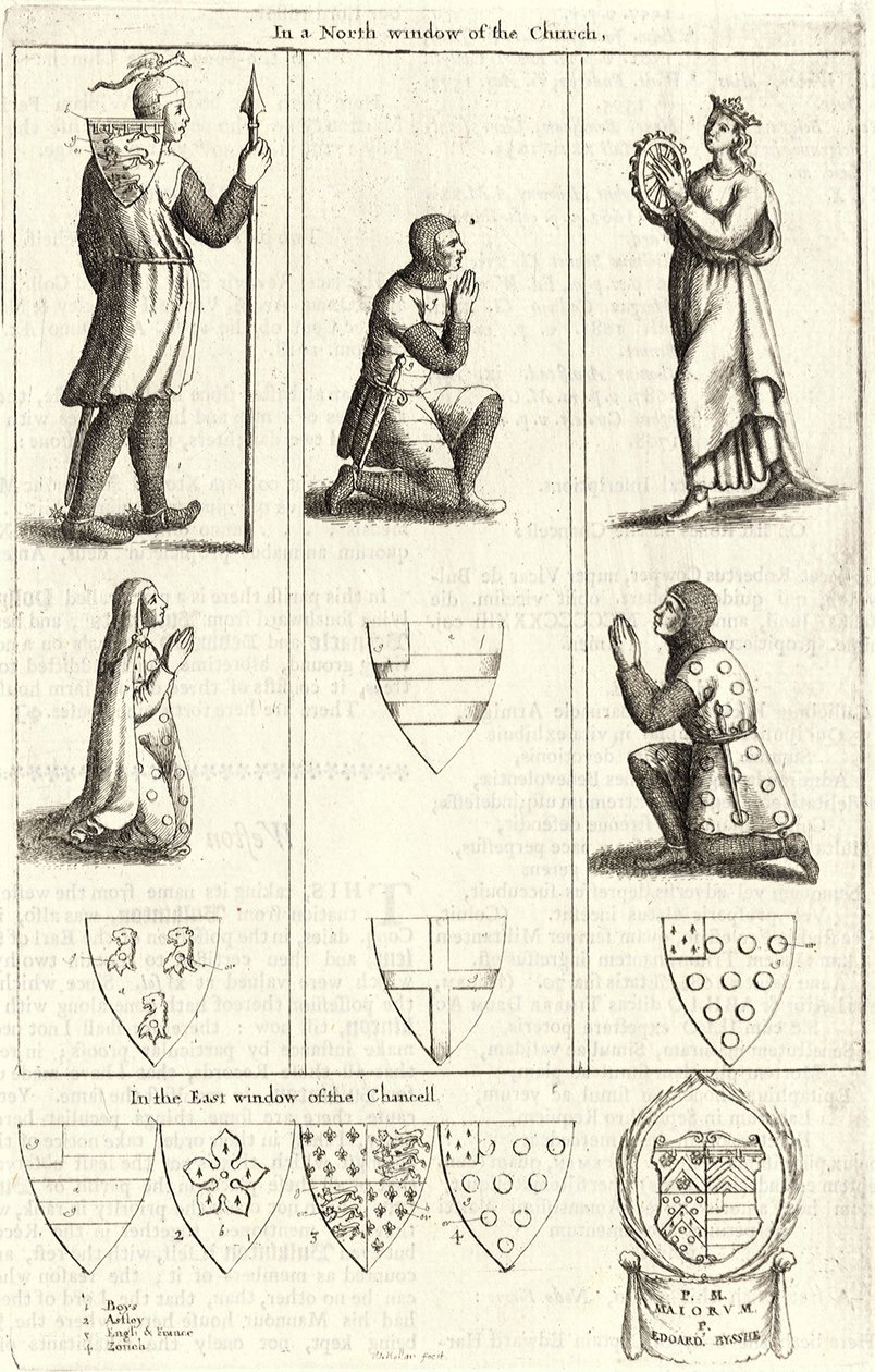 Bulkington (Buntglas) von Wenceslaus Hollar