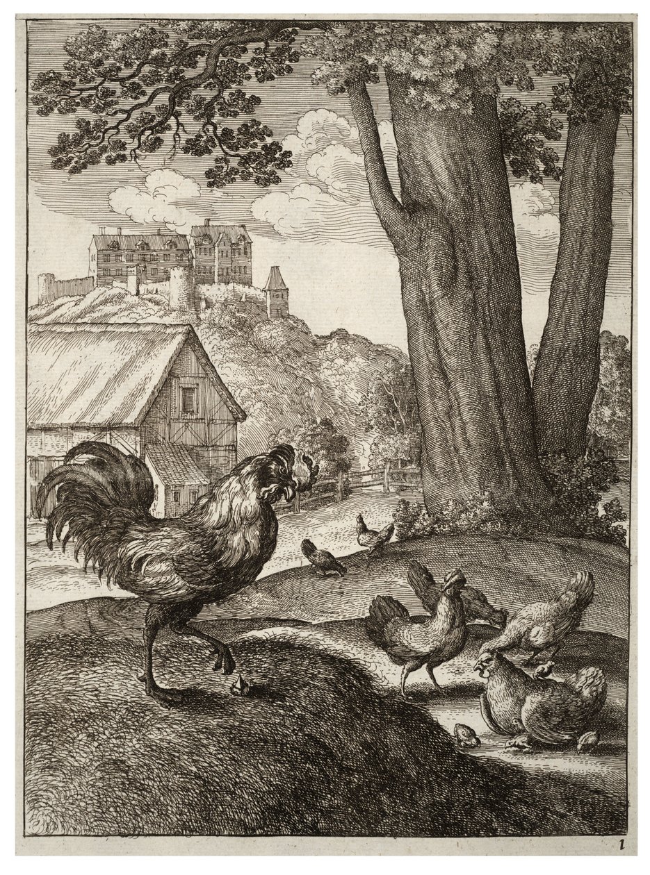 Der Hahn und das Juwel von Wenceslaus Hollar