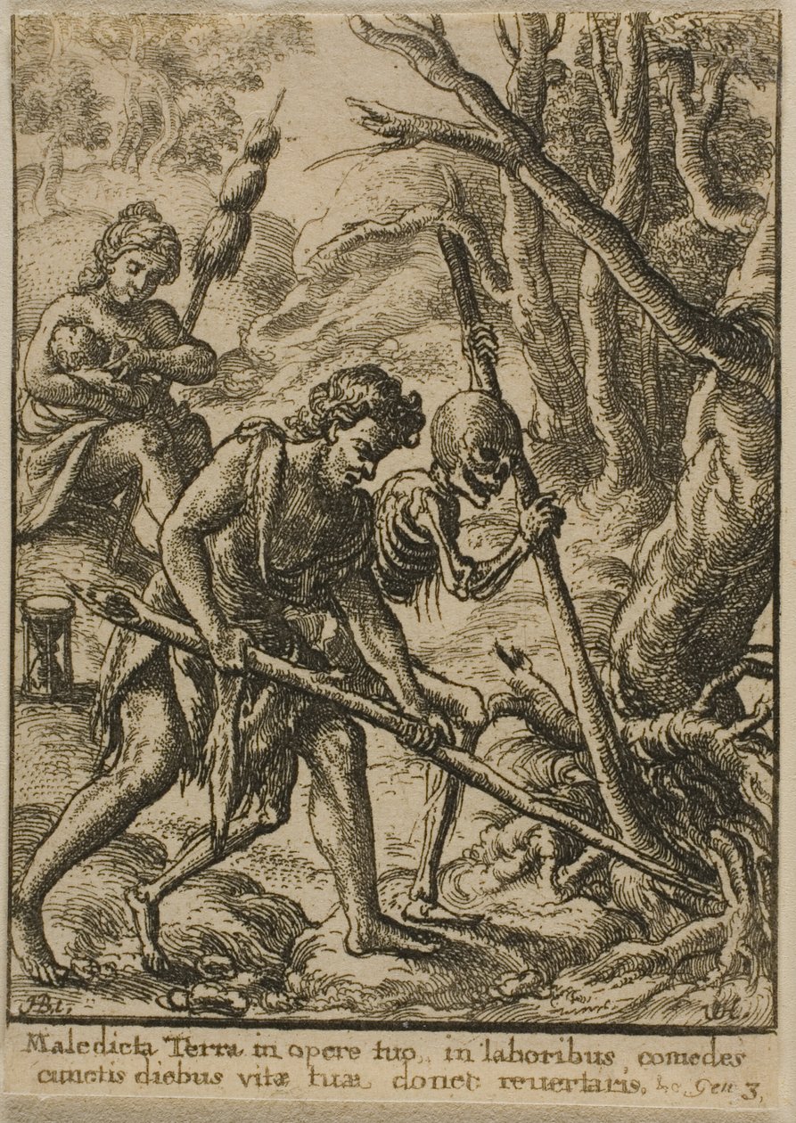 Adam pflügt von Wenceslaus Hollar