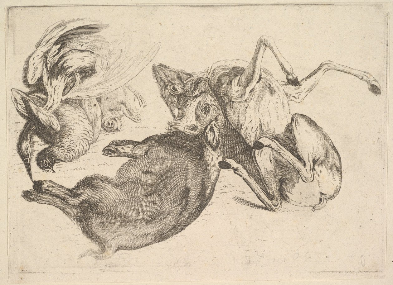 Wildschwein, Hirsch, Reiher und anderes Wild, 1625-77 von Wenceslaus Hollar