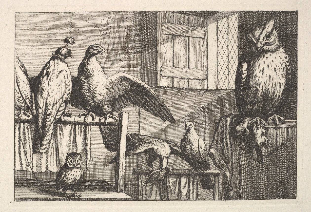 Falken und Eulen von Wenceslaus Hollar