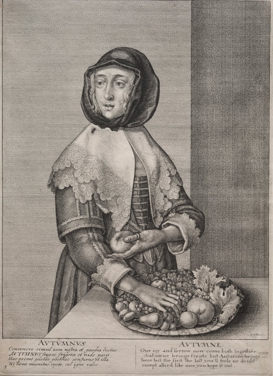 Die vier Jahreszeiten: Herbst von Wenceslaus Hollar