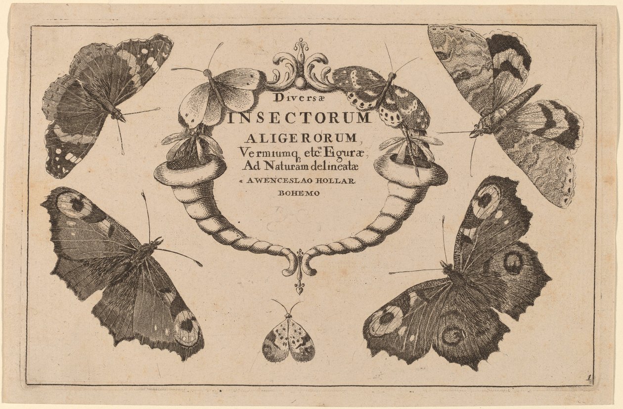 Titelseite von Wenceslaus Hollar
