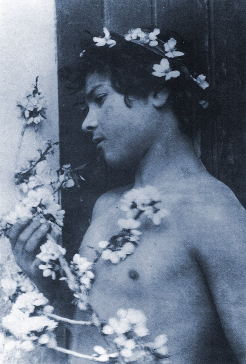 Studie eines jungen Jungen mit Blumen im Haar, ca. 1899 von Baron Wilhelm von Gloeden