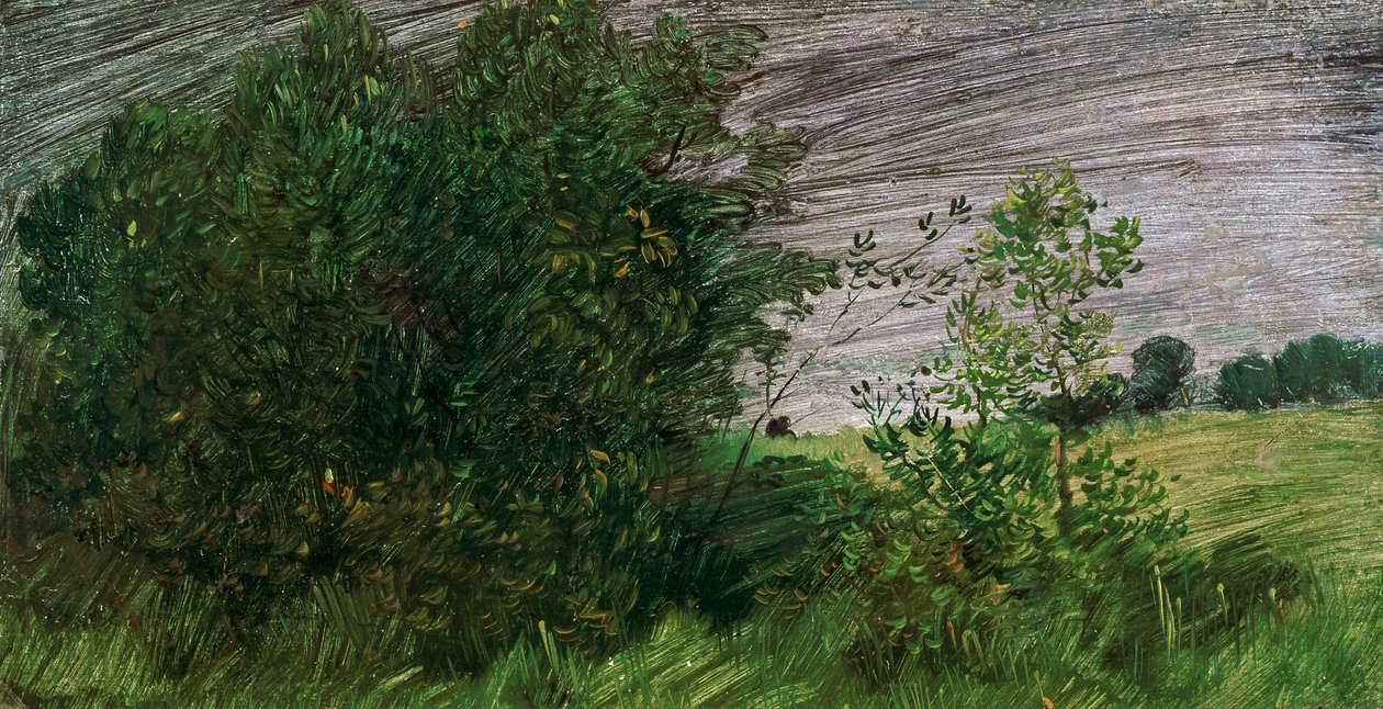 Landschaft von Wilhelm Busch