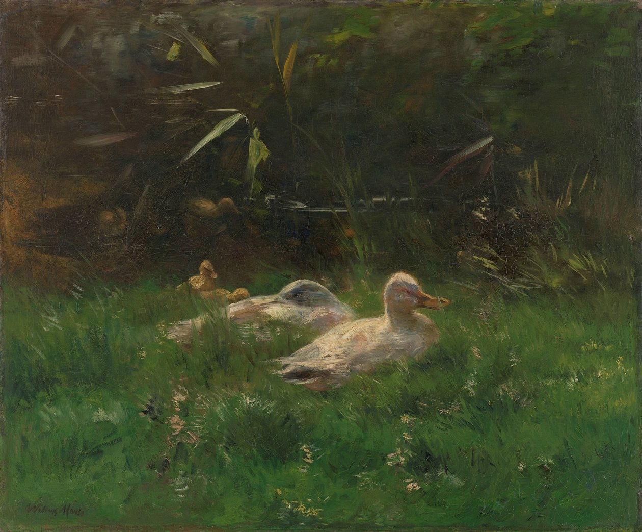 Enten von Willem Maris