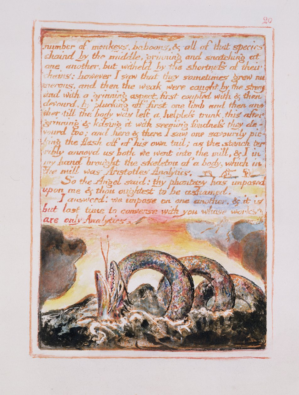 Anzahl der Affen, Paviane.., Illustration und Text aus Die Hochzeit von Himmel und Hölle, ca. 1790-3 von William Blake