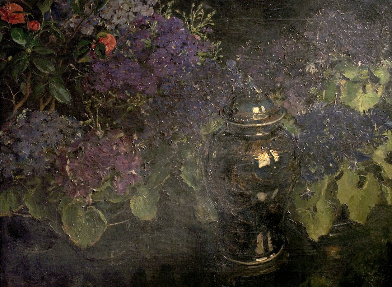 Cinerarien von William Bruce Ellis Ranken