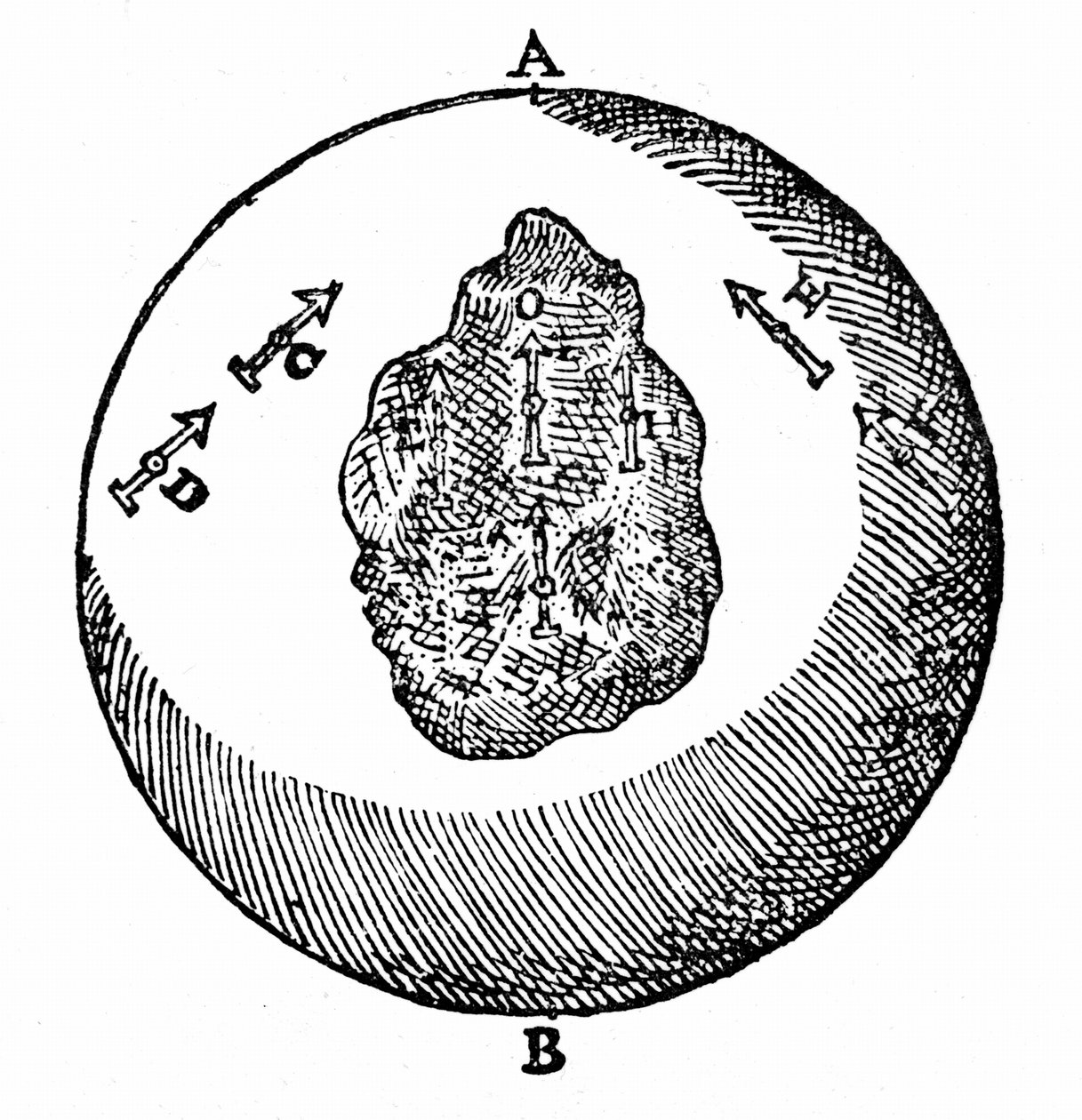 Magnetnadeln auf einer Terrella zeigen zum Nordpol, andere Nadeln tun dies ebenfalls, auch wenn die Oberfläche der Terrella uneben ist, wie bei O. Aus William Gilberts 