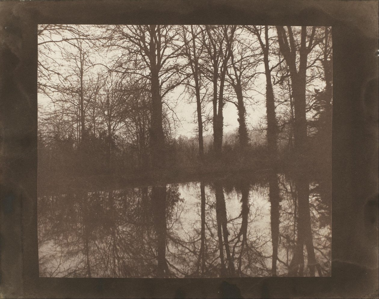 Bäume und Reflexionen von William Henry Fox Talbot