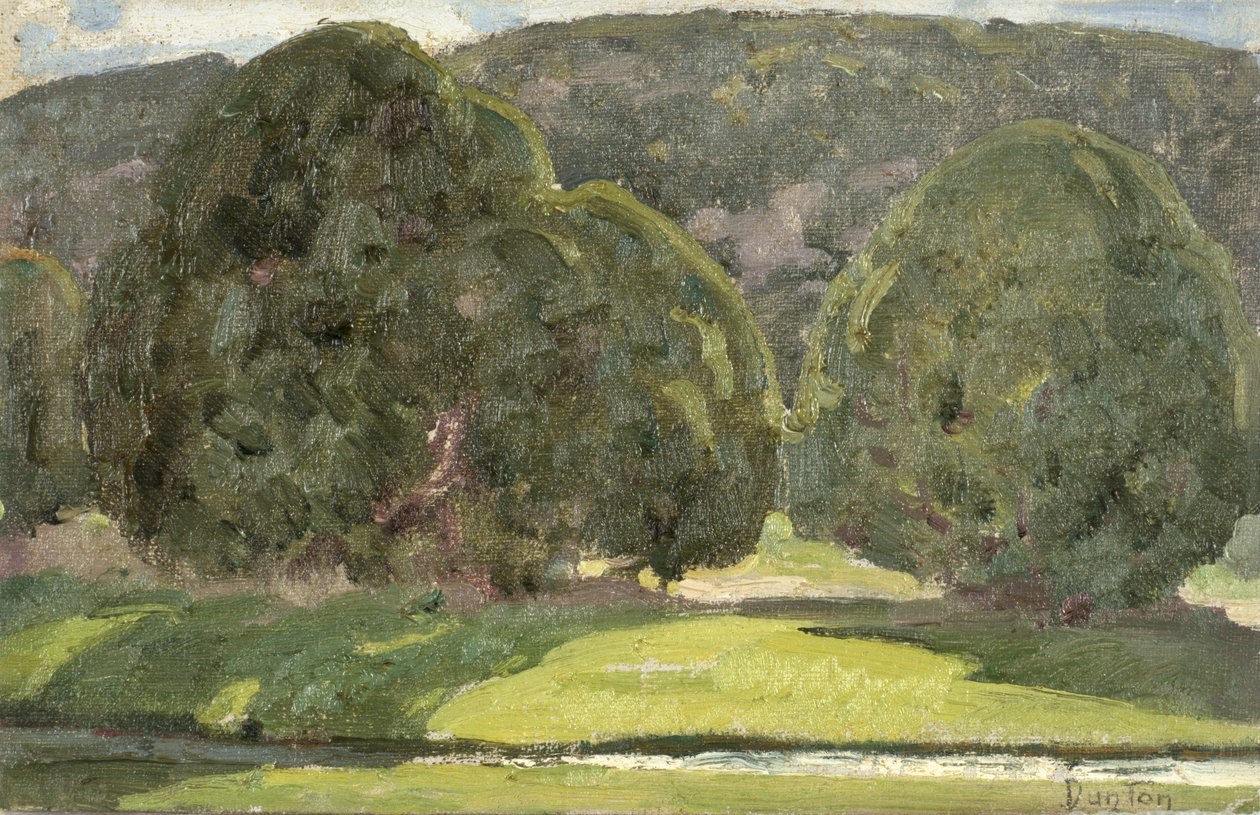 Sonnenlicht und Zedern, ca. 1933 von William Herbert Buck Dunton
