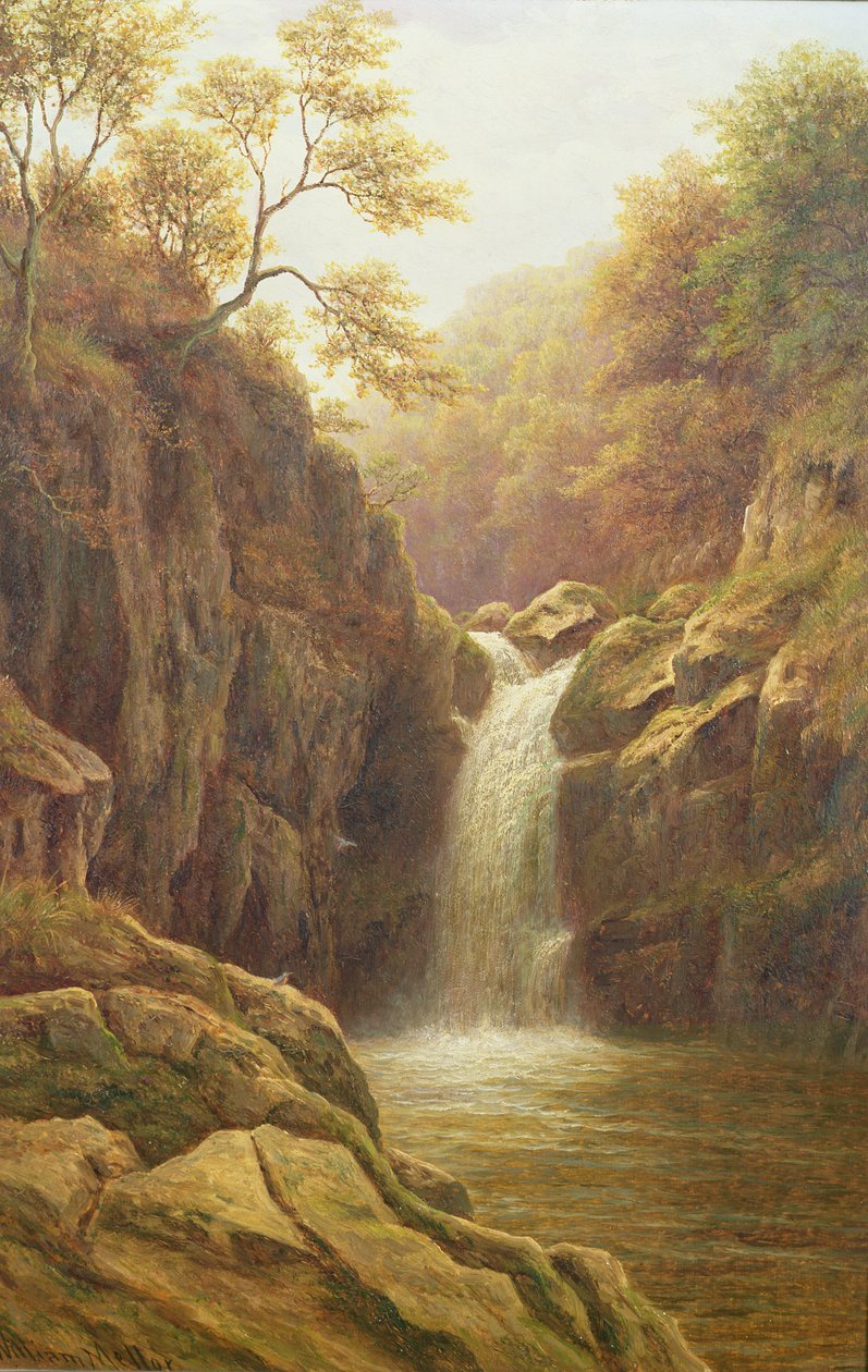 Pecca Foss von William Mellor