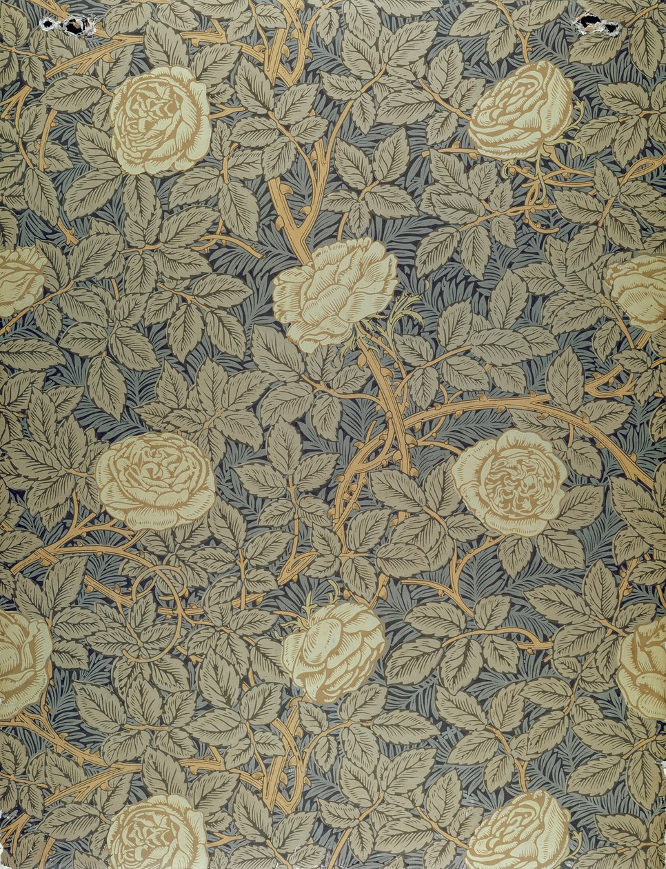 Rose Design von William Morris