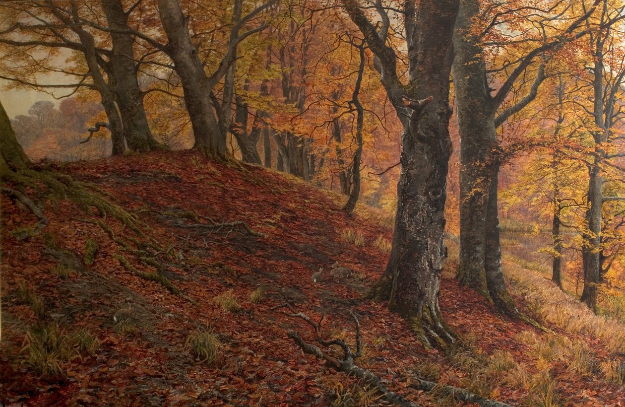 Im Herbstlaub, Arundel Park, Sussex von William Samuel Jay
