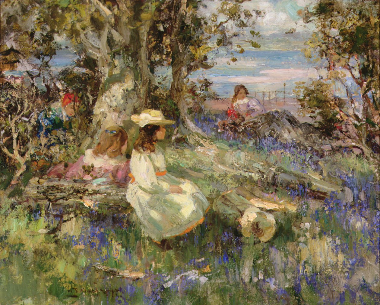 Bluebell-Wald am Meer, Galloway von William Stewart MacGeorge