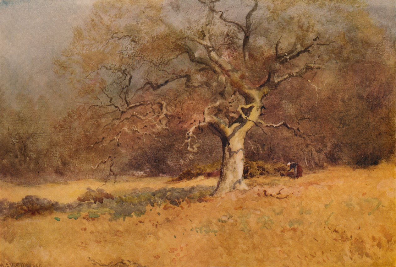 Winterwald, ca. 1916, 1938 von William Eyre Walker