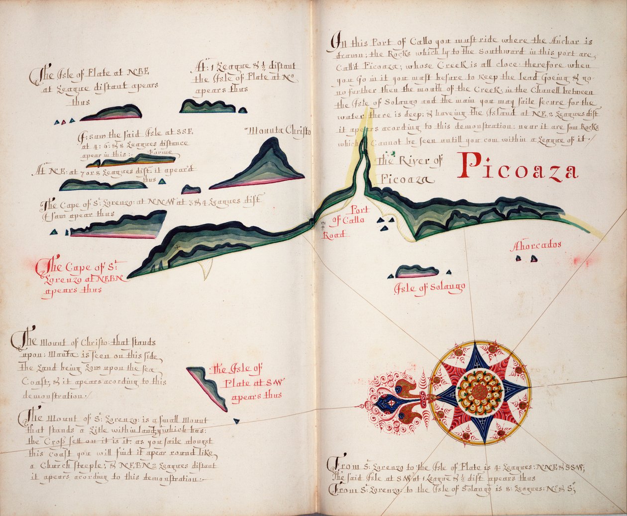 Picoaza von William Hack