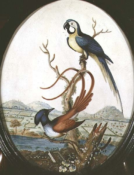 Leierschwanz und Eichelhäher von William Hayes