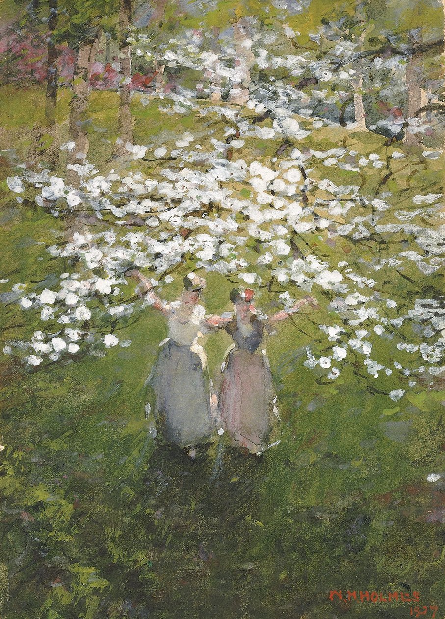 Blüten von William Henry Holmes