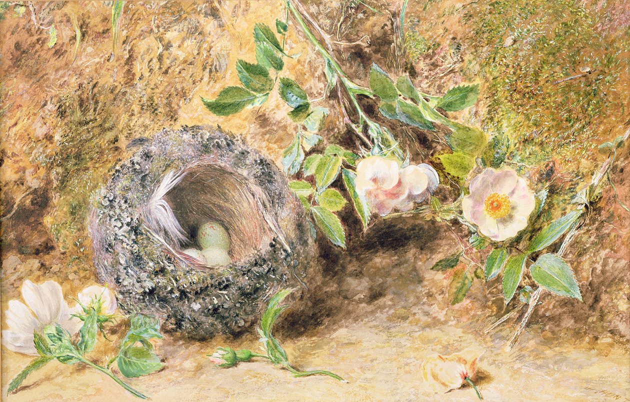 Stillleben mit Buchfinkennest von William Henry Hunt