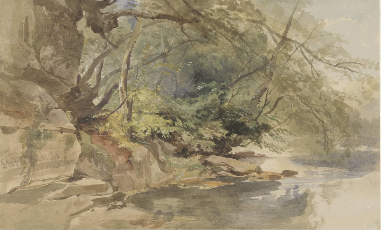 Ansicht in Stapleton Wood, bei Bristol von William James Muller