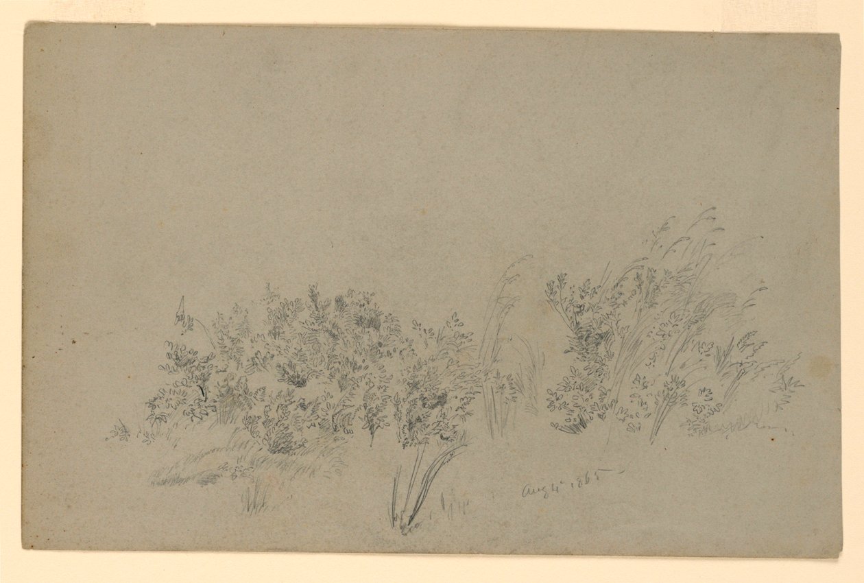 Studie von Laub von William Trost Richards