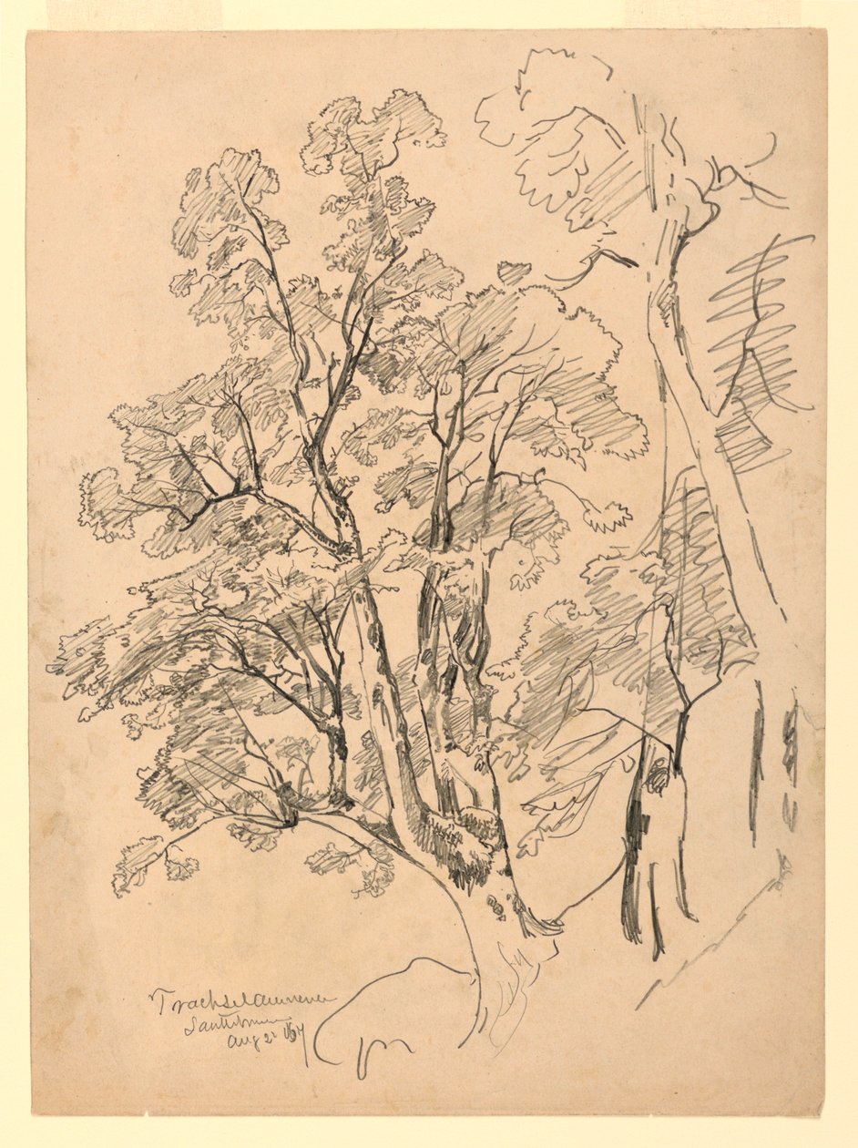 Studie von Laub, Trachselwald, Bern, Schweiz von William Trost Richards