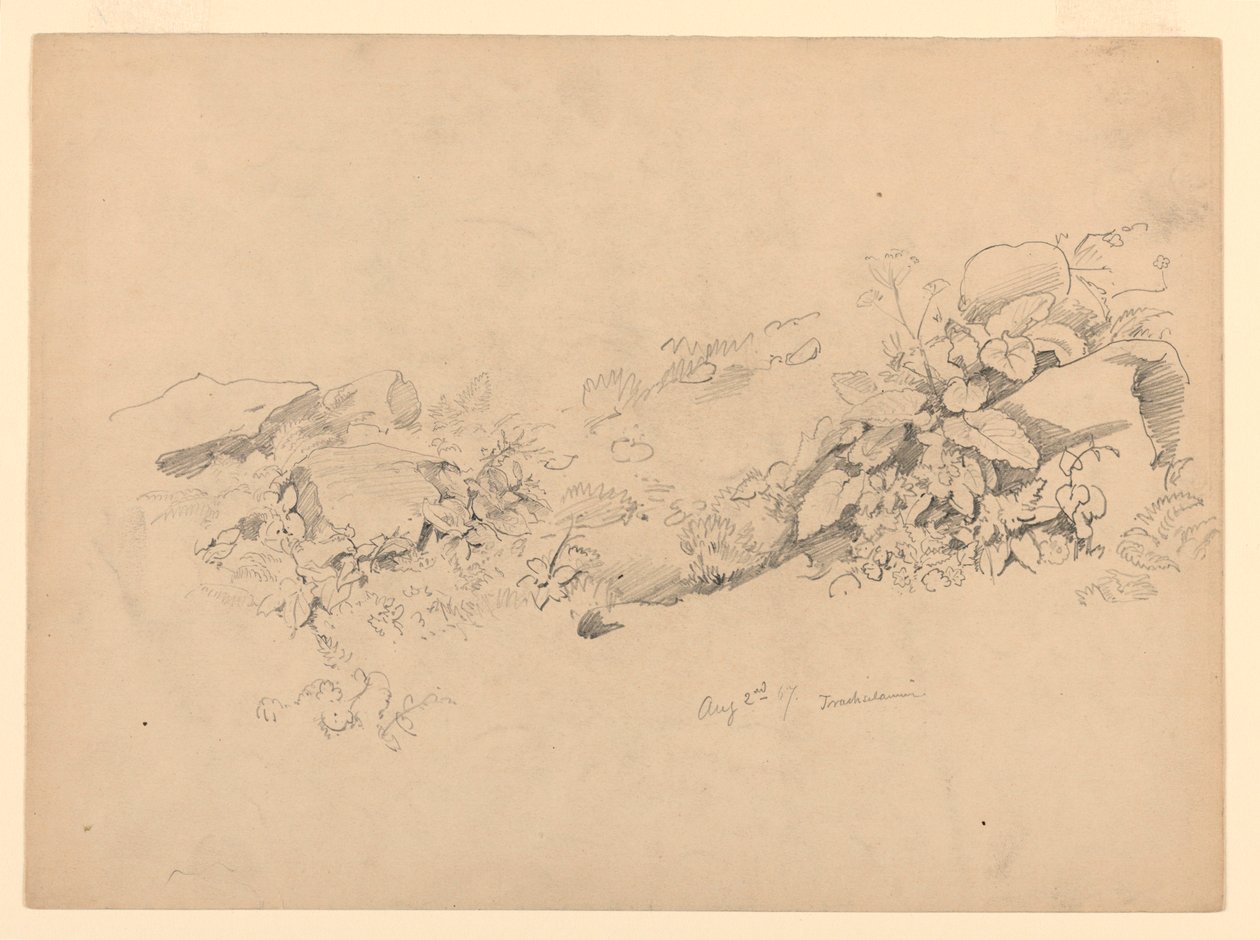 Studie von Laub, Trachselwald, Bern, Schweiz von William Trost Richards