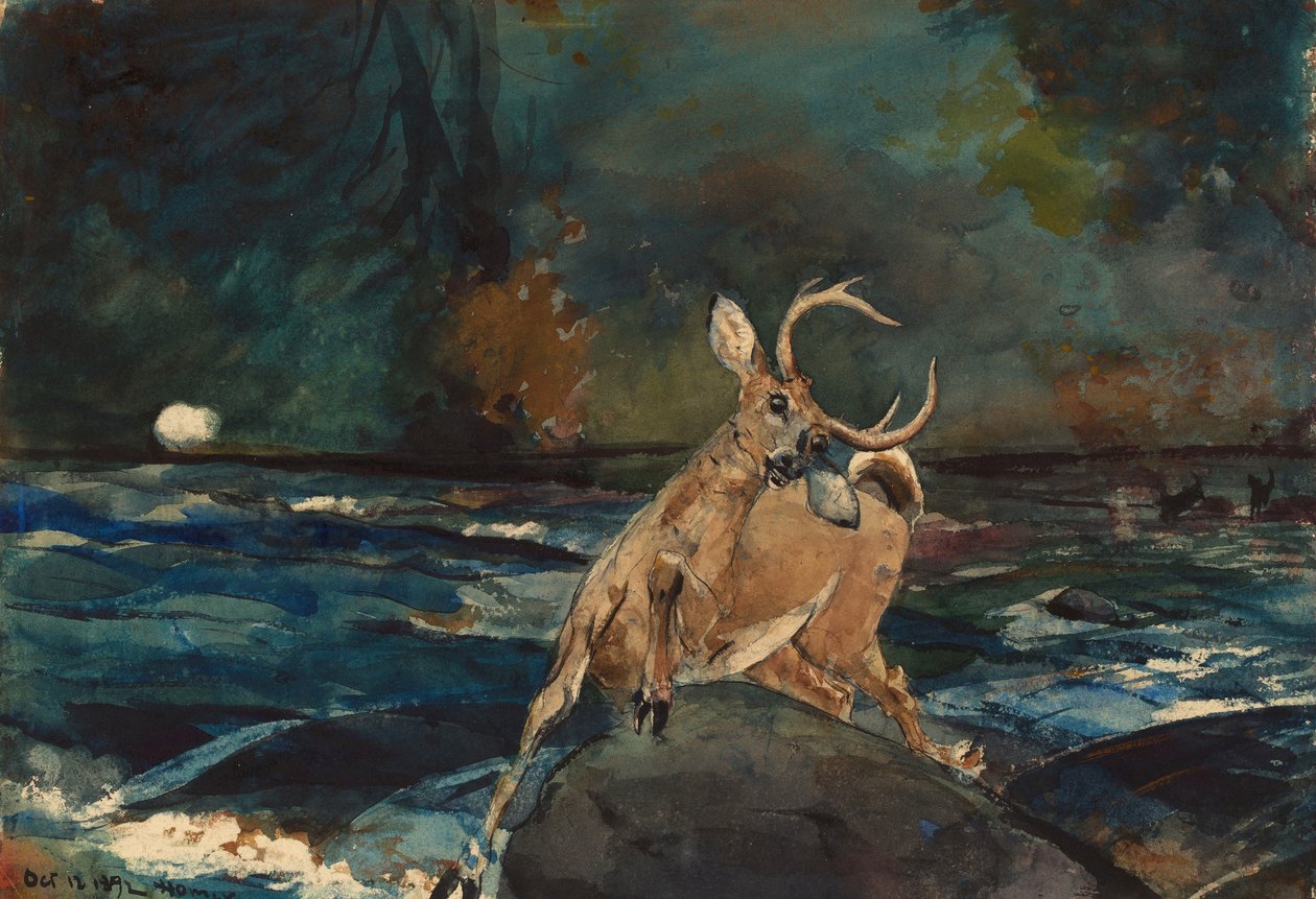 Ein guter Schuss, Adirondacks von Winslow Homer