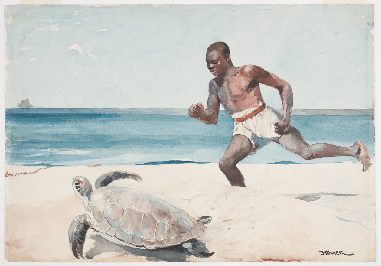 Rum Cay von Winslow Homer