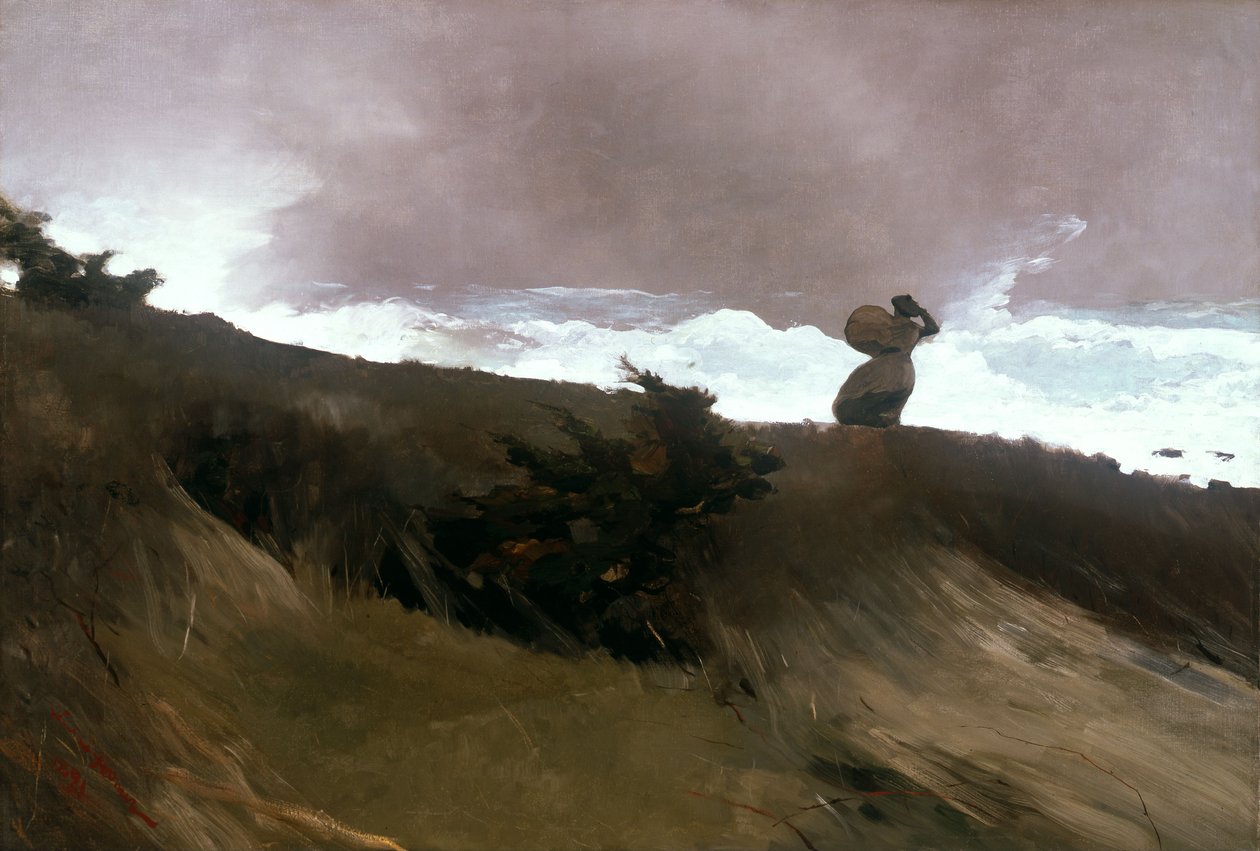 Westwind von Winslow Homer