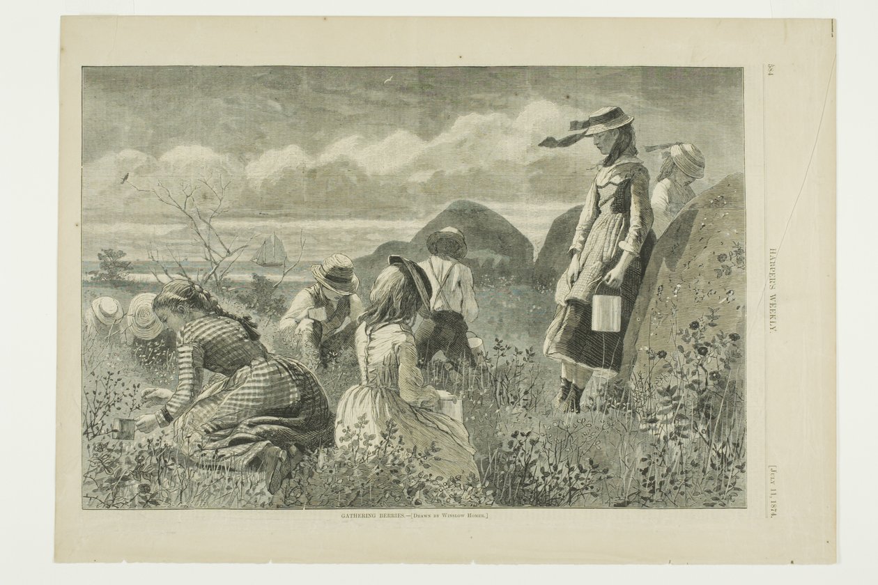 Beeren sammeln von Winslow Homer